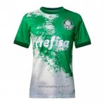 Palmeiras Special Shirt 2024 Green Grey Thailand