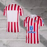 Atletico Madrid Home Shirt Authentic 2025-2026