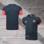 Bayern Munich Training Shirt 2025-2026 Grey Oscuro