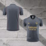 Arsenal Training Shirt 2023-2024 Grey
