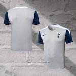 Tottenham Hotspur Training Shirt 2025-2026 Grey