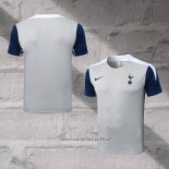 Tottenham Hotspur Training Shirt 2025-2026 Grey