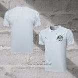 Palmeiras Training Shirt 2023-2024 Grey