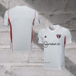 Sao Paulo Training Shirt 2023-2024 Grey