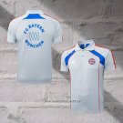 Bayern Munich Shirt Polo 2025-2026 Grey