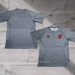 Athletico Paranaense Training Shirt 2024-2025 Grey