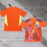 Italy Home Goalkeeper Shirt 2024-2025 Thailand