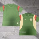 Palmeiras Training Shirt 2023-2024 Green