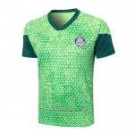 Palmeiras Training Shirt 2024-2025 Green
